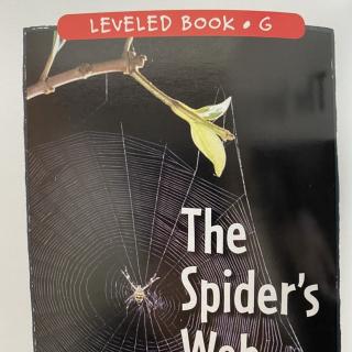 RAZ LevelG 502 - The Spider's Web