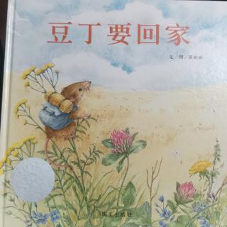 《豆丁要回家》