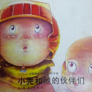 中国原创图画书《小秃和他的小伙伴》