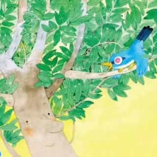 29.月桂树下的故事会-一只蓝鸟和一棵树