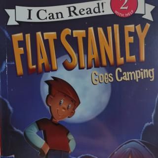 Flat Stanley goes camping