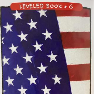 RAZ LevelG 503 - Stars and Stripes