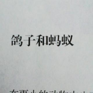 《鸽子和蚂蚁》