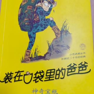 《装在口袋里的爸爸》（14）好运误送小偷