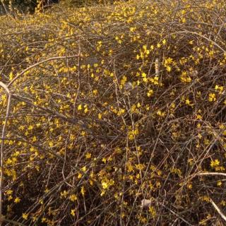 《鲁滨孙漂流记》第一章第二节