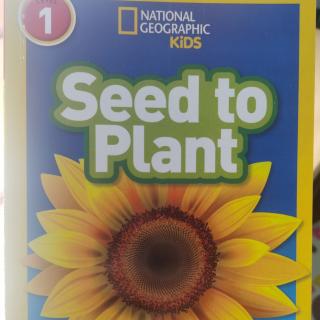 Seed to plant