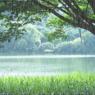 光阴书卷里  喜听春雨落