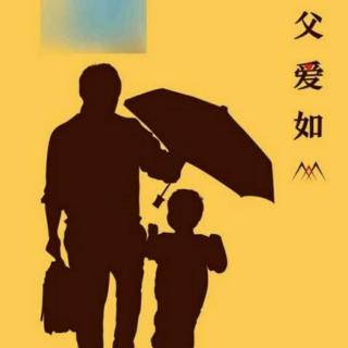 《父爱是什么》