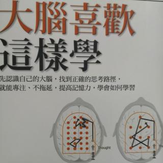 第四章《大脑喜欢这样学》