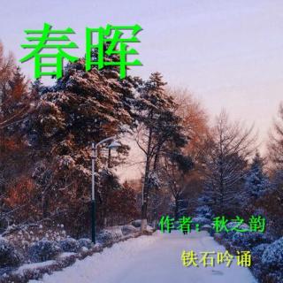 《春晖》作者：秋之韵