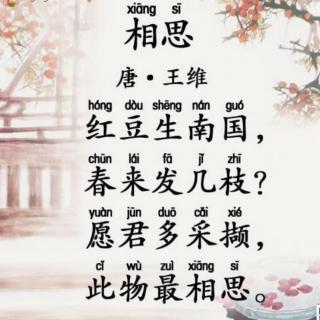 《相思》王维