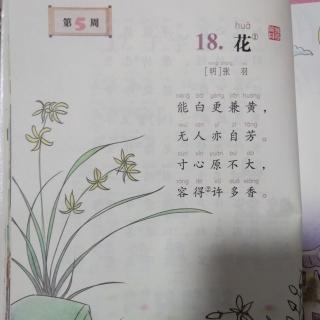 花明张羽