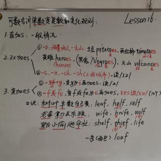 Lesson15-16 语法 “可数名词单→复”