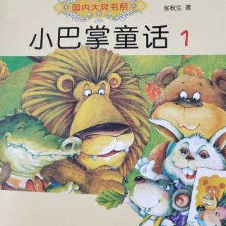 洗袜子的波波熊🐻