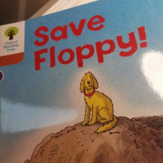 Save Floppy
