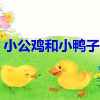 5《小鸭子和小公鸡》志辉朗读