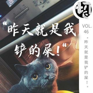 养猫 | 生声不息46