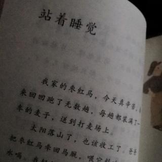 站着睡觉