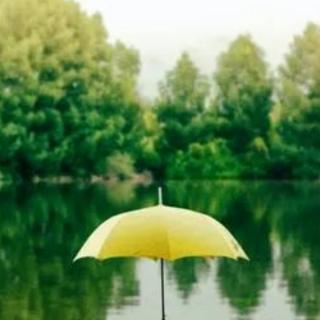 风雨人生，自己撑伞
