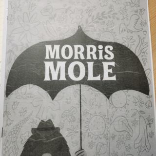 MORRIS MOLE