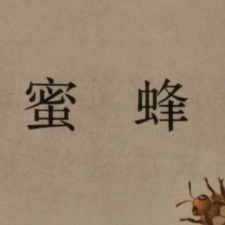 第14课《蜜蜂》