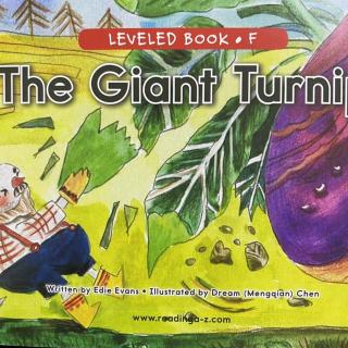 RAZ LevelF 608 - The Giant Turnip