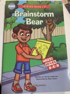 Brainstorm Bear