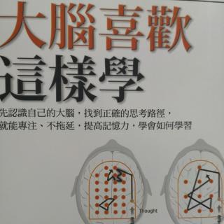 第八章《大脑喜欢这样学》