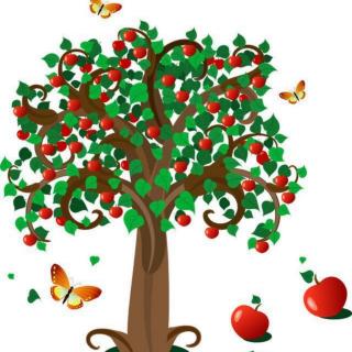 小雅电台丨苹果树的故事