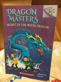 Secret of the water dragon1