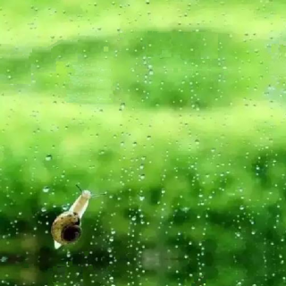 来自大自然的声音|惊蛰雷雨声