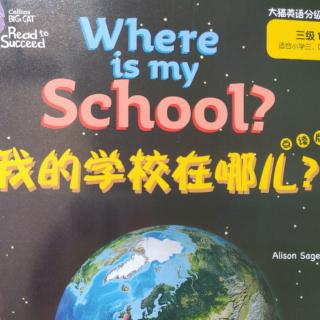 大猫三级1Where is my school