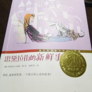 《思黛拉街的新鲜事》40——50