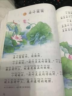 一年级语文下册第70页《荷叶圆圆》五岁三个月