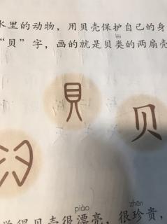 “贝”的故事