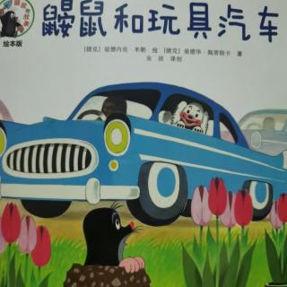 41.丁当妈讲故事——鼹鼠和玩具汽车