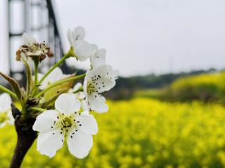 在春天细细地听～