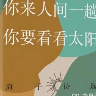 海子诗选《春天，十个海子》