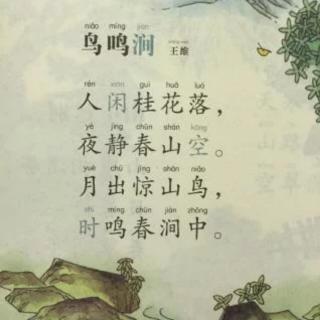 普吟:《鸟鸣涧》唐 王维