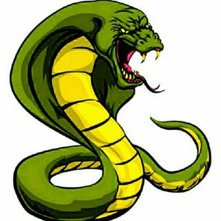 2021-03-271141主播:死神黑曼巴2272分享到:分享到微信分享到qq