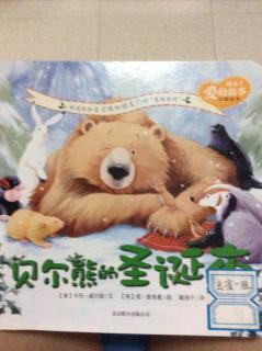 贝尔熊🐻的圣诞夜🎄。