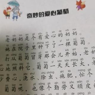 小巴掌童话二～奇妙的爱心葡萄