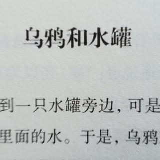 《乌鸦和水罐》