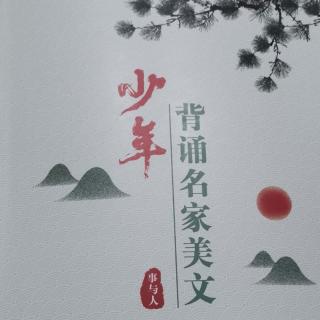 《李子核》俄罗斯 列·托尔斯泰