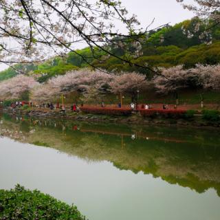 《哪里的天空不下雨☔️》