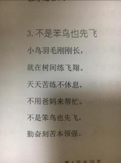 绘读童诗2《不是笨鸟也先飞》