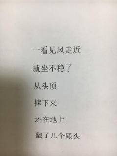 99胆小的帽子