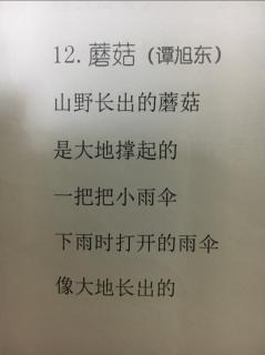 绘读童诗6《蘑菇》