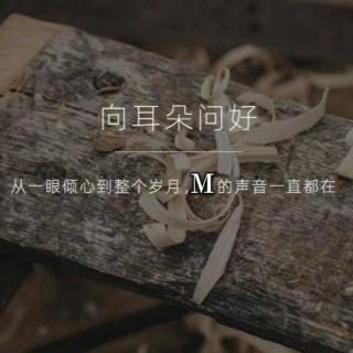 深情不及久伴，厚爱无需多言 - 💋M摄影师