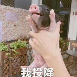 下一秒|୧⍤⃝🐷（来自FM74897024）